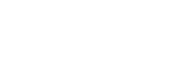 Wolt-logo-transparent-white